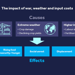 Barclays Research Examines How War and Extreme Weather Are Exacerbating Food Insecurity