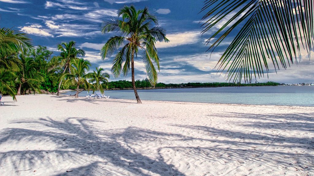 the beach on white sound