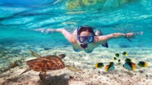 Coral reefs provide Dominican Republic with benefits valued at US $ 1,140 million per year