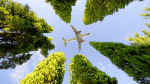 “Sustainability as the new normal” a vision for the future of tourism