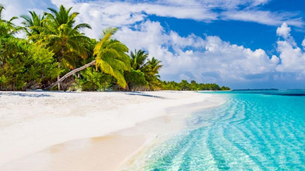 Sustainable solutions for tourism employment in the Caribbean are urgently needed Sustainable solutions for tourism employment in the Caribbean are urgently needed