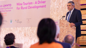 Innovation and alliances for wine tourism to promote rural development