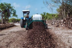 First plant to process and use sargassum on Dominican Republic coasts installed