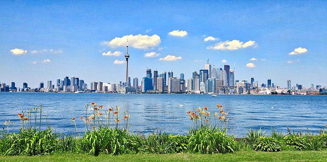 Toronto’s Annual 2022 IWD Rally: Saturday March 5, 1:00 p.m., live online