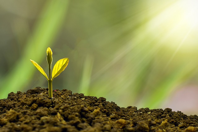 Inovalis Real Estate Investment Trust Implements Strategic Plan and Closes Courbevoie Disposition
