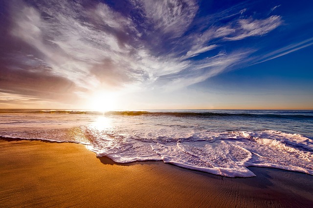 Boca Chica Beach is now free of sargassum